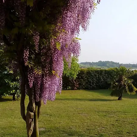 Holiday home With Garden, Terrace And Barbecue