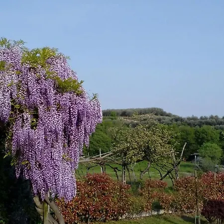 With Garden, Terrace And Barbecue