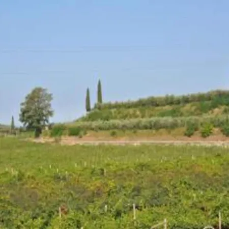 Nyaraló With Garden, Terrace And Barbecue Pastrengo